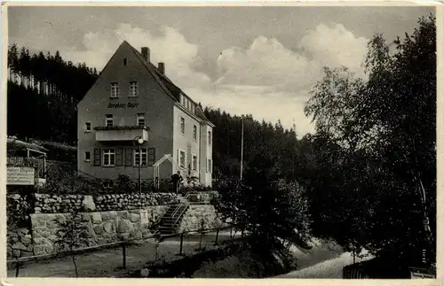 Kipsdorf - Fremdenheim Berghaus Unger -252704