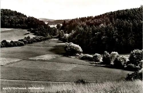 Nastätten im Taunus - Mühlbachtal -252574