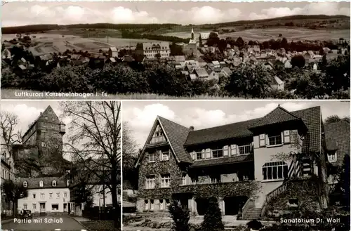Katzenelnbogen -252578