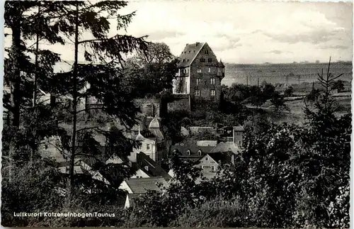 Katzenelnbogen -252598