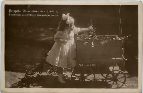 Prinzessin Alexandrine -245648