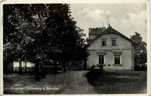 Gruss vom Lerchenberg bei Börnchen -253856