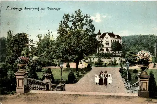 Freiberg - Albertpark mit Freitreppe -253030