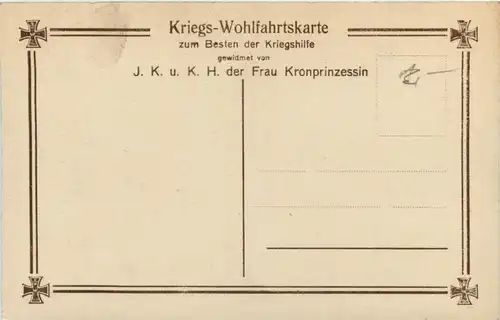 Die Söhne unseres Kronprinzenpaares in Feldgrau -245578