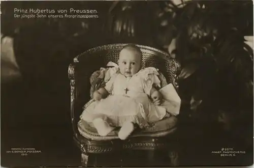 Prinz Hubertus von Preussen -245658