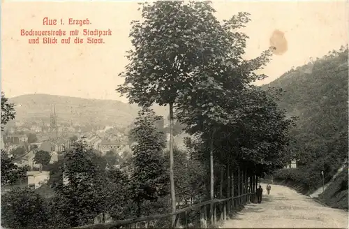 Aue - Bockauerstrasse -253242