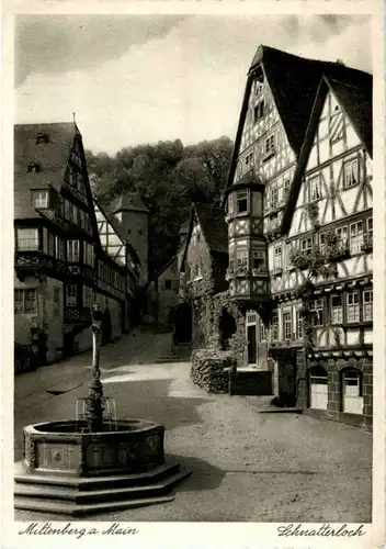 Miltenberg am Main - Schnatterloch -84262