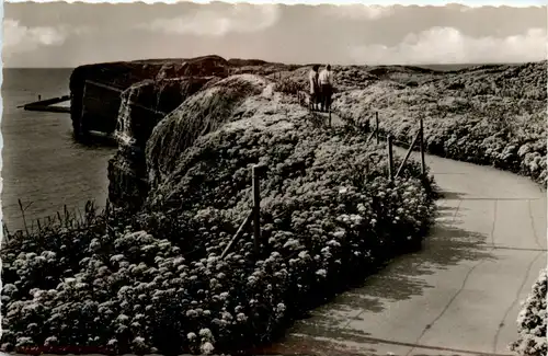 Helgoland - Partie an der Westküste -253666