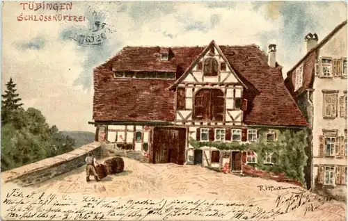 Tübingen - Schlossküfrei -253780