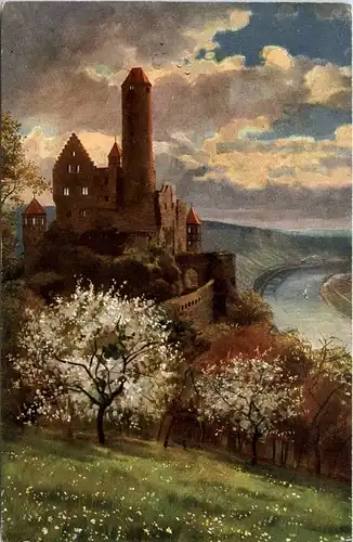 Burg Hornberg am Neckar -247098