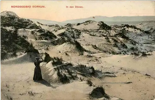 Borkum - in den Dünen -18438