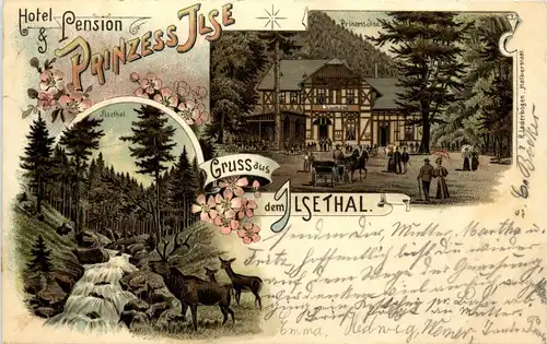 Hotel Pension Prinzess Ilse - Gruss aus dem Ilsethal - Litho -248332