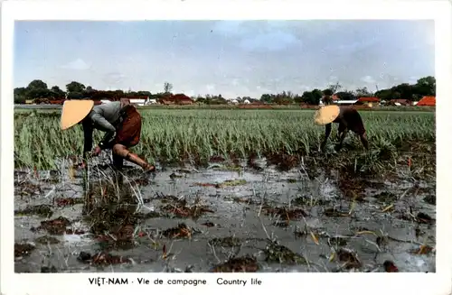 Vietnam - Country life -249042