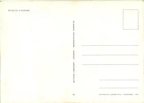 Republique de Guinee -248842