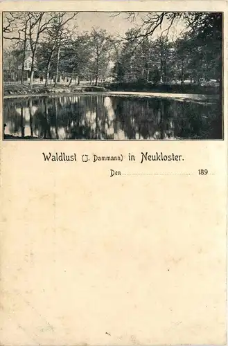 Waldlust in Neukloster -248566