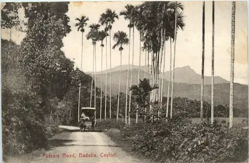 Ceylon - Badulla -248918
