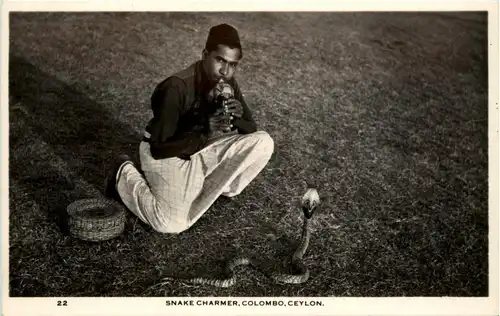 Snake Charmer Colombo -248944