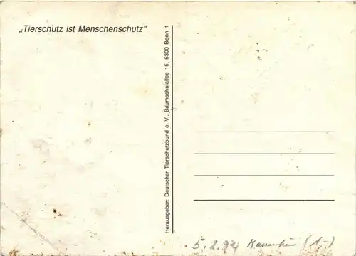 Deutscher Tierschutzbund - Hund -249866