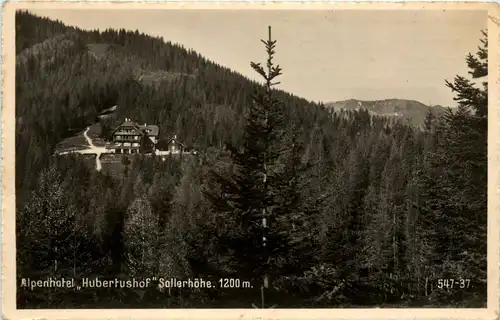 Mürzzuschlag/Steiermark - Alpenhotel Hubertushof - Sollerhöhe -308698