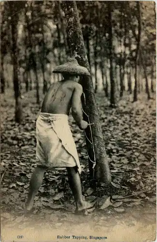 Singapore - Rubber Tapping -248948