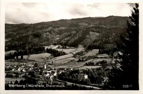 Mürzzuschlag/Steiermark - Sommerfrische Wartberg im Mürztal, -308846