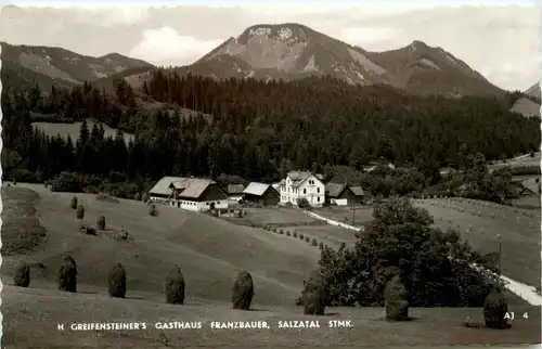 Maruazell/Steiermark - H. Greifensteiners Gasthaus Franzbauer, Salzatal -308400