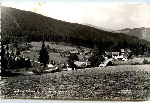 Weiz/Steiermark - Fischbach - Auf der Schanz -308986