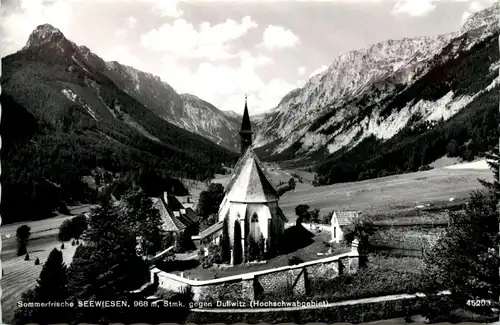 Mariazell/Steiermark - Seewiesen, gegen Dullwitz -308594