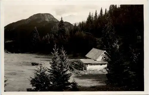 Mariazell/Steiermark - Alpenrosehütte auf der Sauwand mit der Tonion -308226