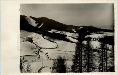 Mürzzuschlag/Steiermark - Winterlandschaft -309090