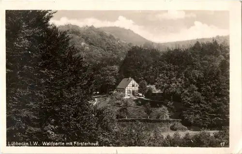 Lübbecke - Waldpartie mit Försterhaus -22358