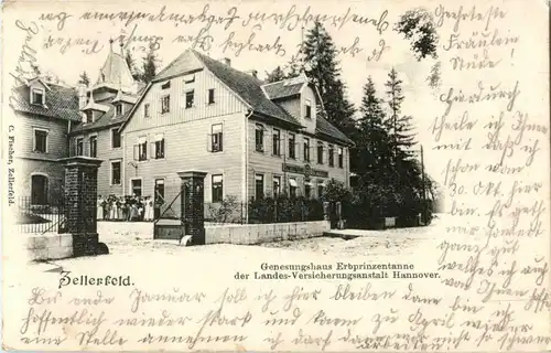 Zellerfeld - Genesungshaus Erbprinzentanne -22586