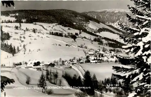 Weiz/Steiermark -Sommerfrische Fischbach -Wintersportplatz -308904