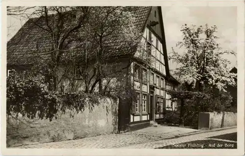 Soest - Auf der Borg -22740