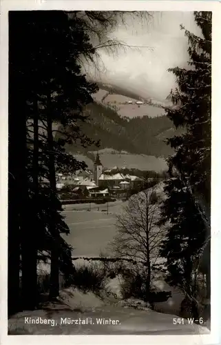 Mürzzuschlag/Steiermark - Sommerfrische Kindberg - im Winter -309058