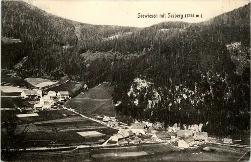 Mariazell/Steiermark - Seewiesen mit Seeberg -308448