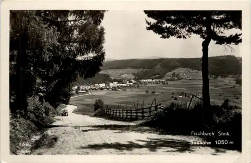 Weiz/Steiermark - Sommerfrische Fischbach -308938