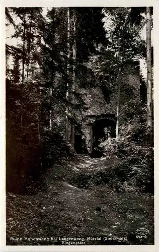 Mürzzuschlag- Langenwang im Mürztal, Ruine Hohenwang Eingangstor -308774