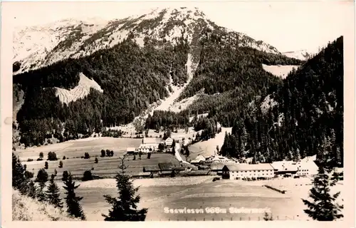 Mariazell/Steiermark - Seewiesen, -308600