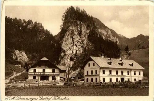 Mürzzuschlag/Steiermark - Gasthof Fallenstein -309976