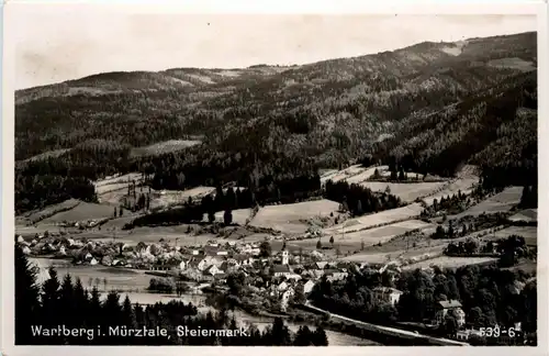 Mürzzuschlag/Steiermark - Sommerfrische Wartberg im Mürztal, -308842