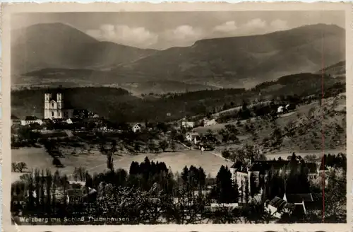 Weiz/Steiermark - Weiz - Schloss Tannhausen u.Weizberg -309198