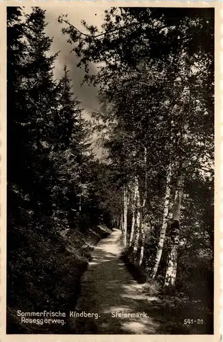 Mürzzuschlag/Steiermark - Sommerfrische Kindberg - Roseggerweg -309060