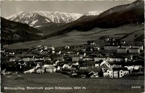 Mürzzuschlag/Steiermark - Mürzzuschlag - gegen Schneealpe -309442