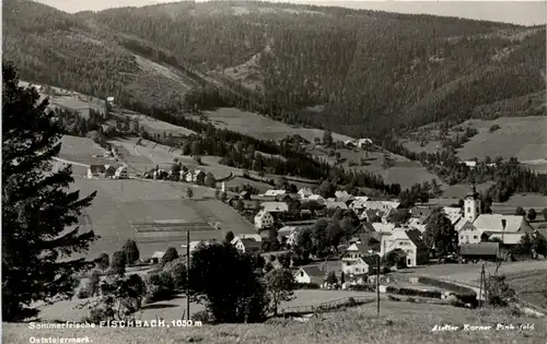 Weiz/Steiermark - Sommerfrische Fischbach -308940