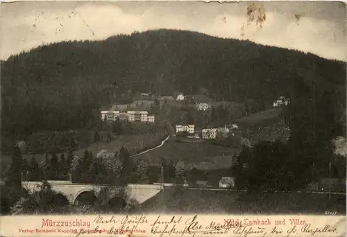 Mürzzuschlag/Steiermark - Mürzzuschlag - Hotel Lambach und Villen -309386