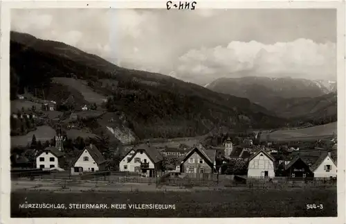 Mürzzuschlag/Steiermark - Mürzzuschlag - Neue Villensiedlung -310302