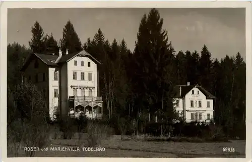 Graz/Steiermark - Tobelbad, Rosen und Marienvilla -310660