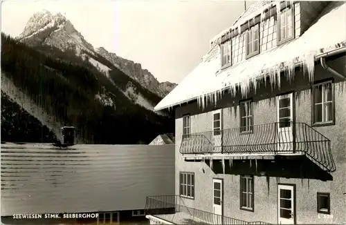 Mürzzuschlag/Steiermark - Seewiesen, Seeberghof -310514