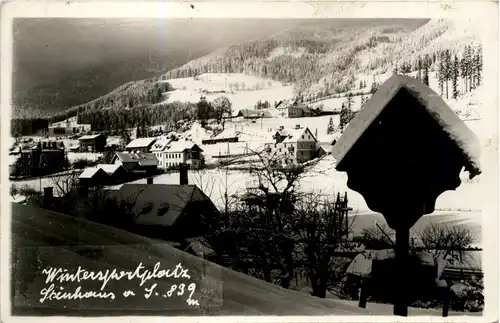 Mürzzuschlag/Steiermark - Steinhaus a. Semmering - Wintersportplatz -310374